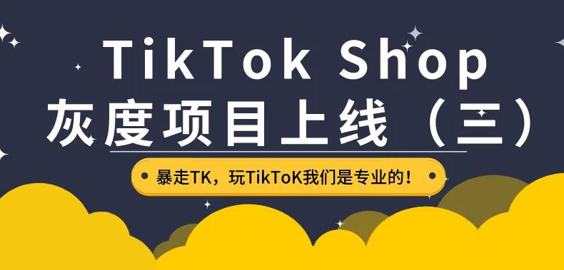 【副业3349期】跨境电商怎么开店铺：TikTok Shop出海训练营，抢占新流量，一店卖全球